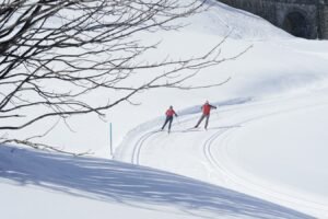 Disentis Sedrun