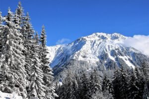 Davos