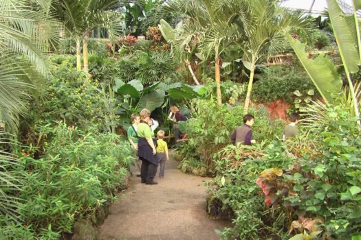 Papilliorama – exotische Schmetterlinge und mehr