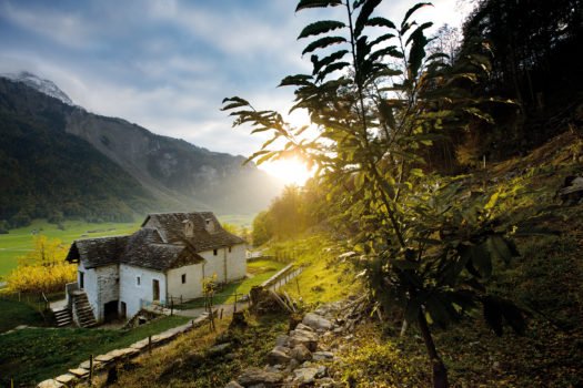 Freilichtmuseum Ballenberg