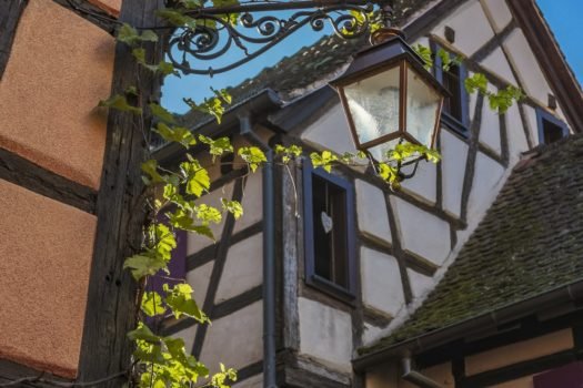 Elsass Weinstrasse – Vogesenkammstrasse