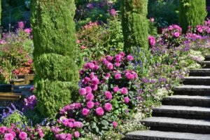 Mainau botanischer Garten